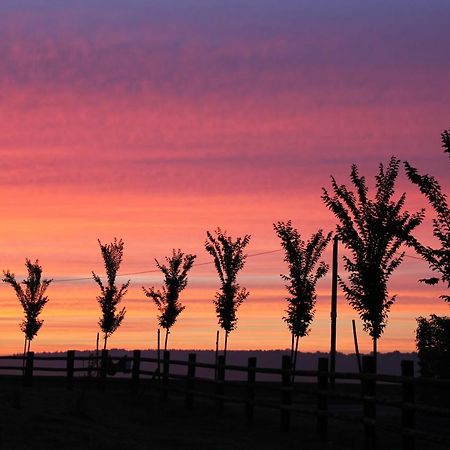 Roulotte Poulette Otel Mortagne-au-Perche Dış mekan fotoğraf